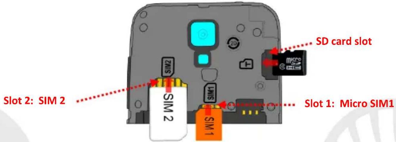 NGM Forward Run - Set up - 1