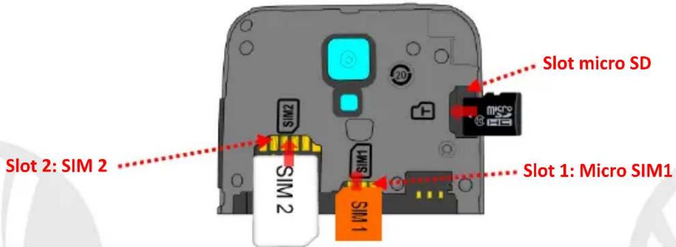 NGM Forward Run - Montaje - 1