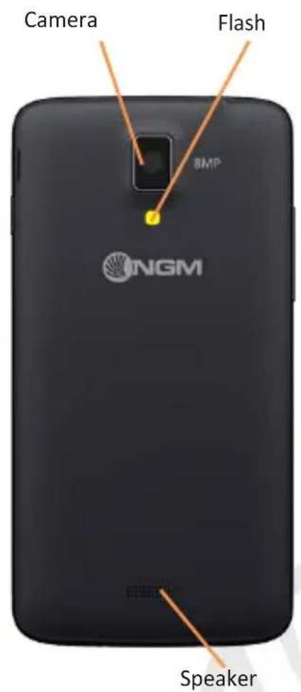 NGM Forward Evolve - 24ENGLISH - 4