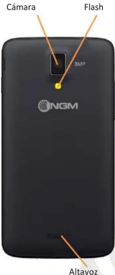 NGM Forward Evolve - Menu Principal - 3
