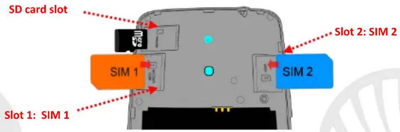 NGM Forward Evolve - Setup - 1