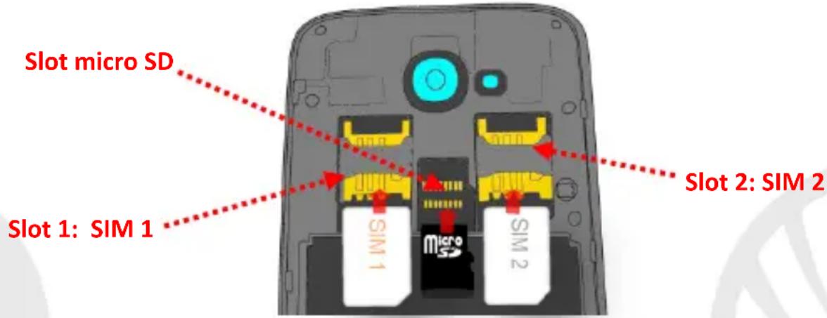 NGM Forward Escape - Montaje - 1