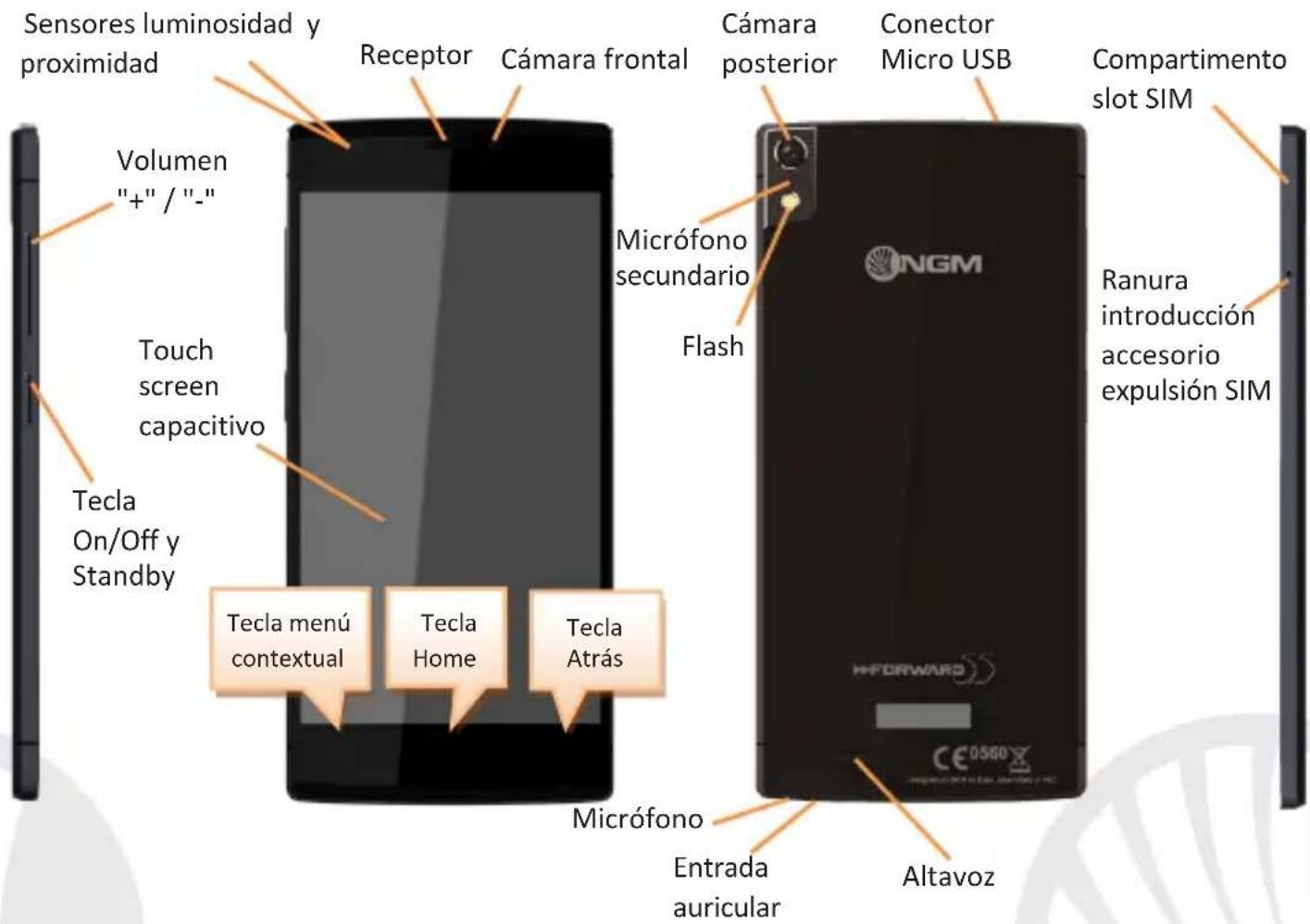 NGM Forward 5.5 - La pantalla principal - 4