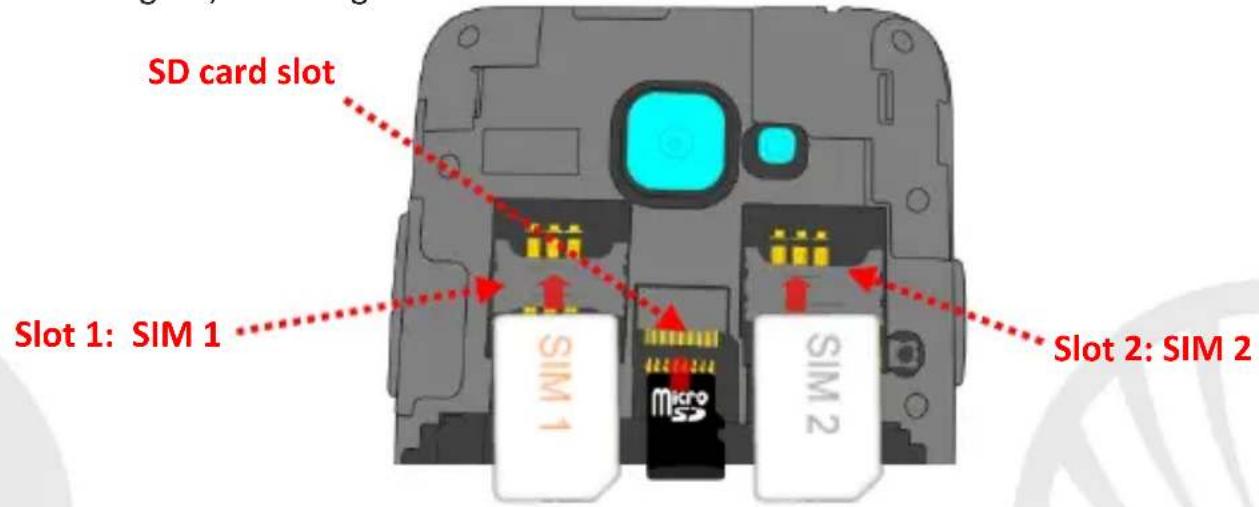 NGM Dynamic Milo - Setup - 1