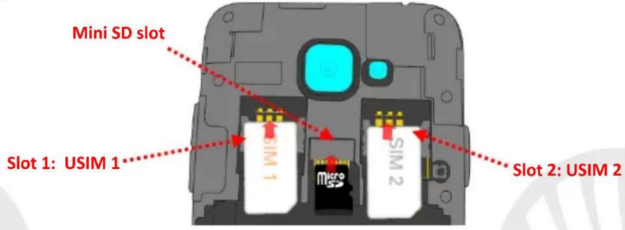 NGM Dynamic Milo - Montage - 1