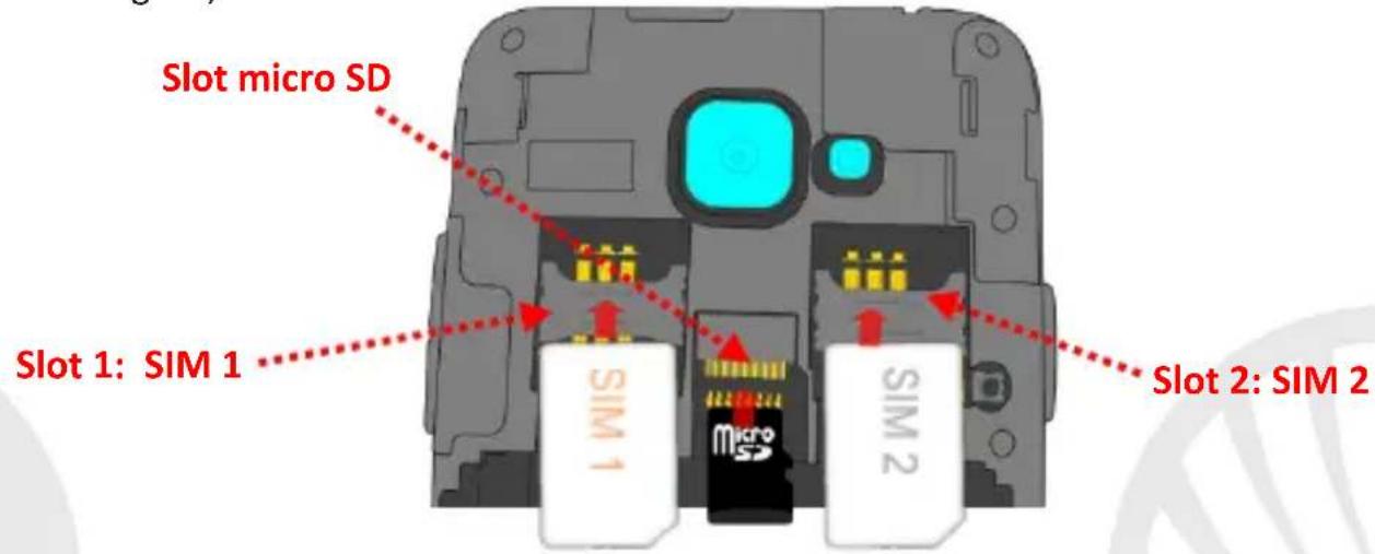 NGM Dynamic Milo - Assemblaggio - 1
