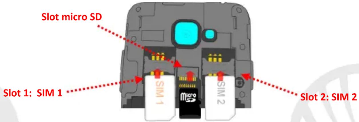 NGM Dynamic Milo - Montaje - 1