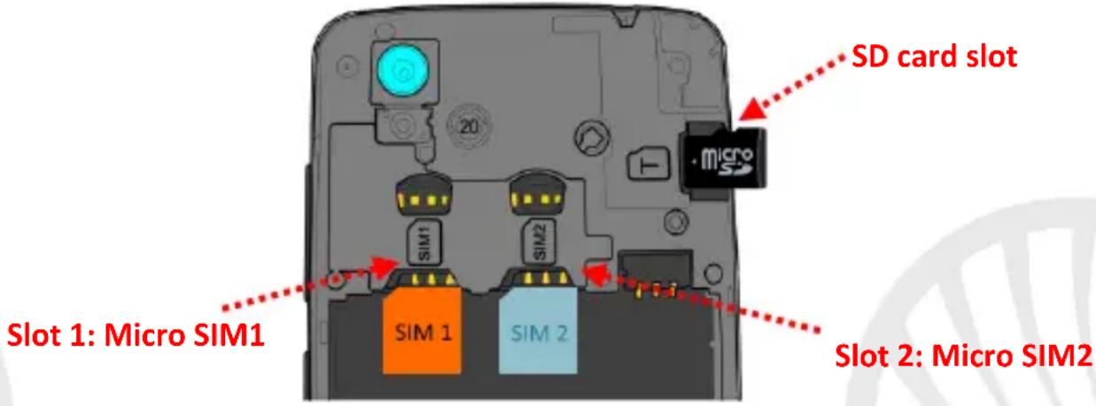 NGM Forward Ruby - Set up - 1