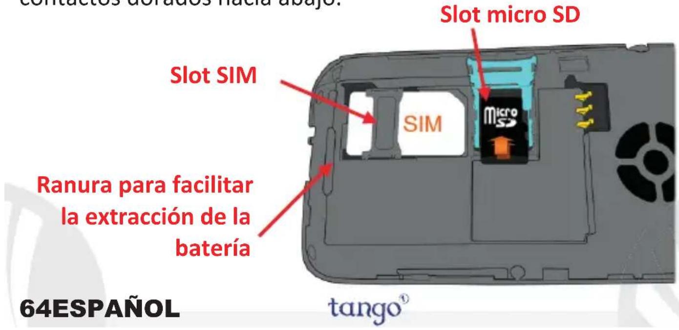 NGM Tango 1 - 1