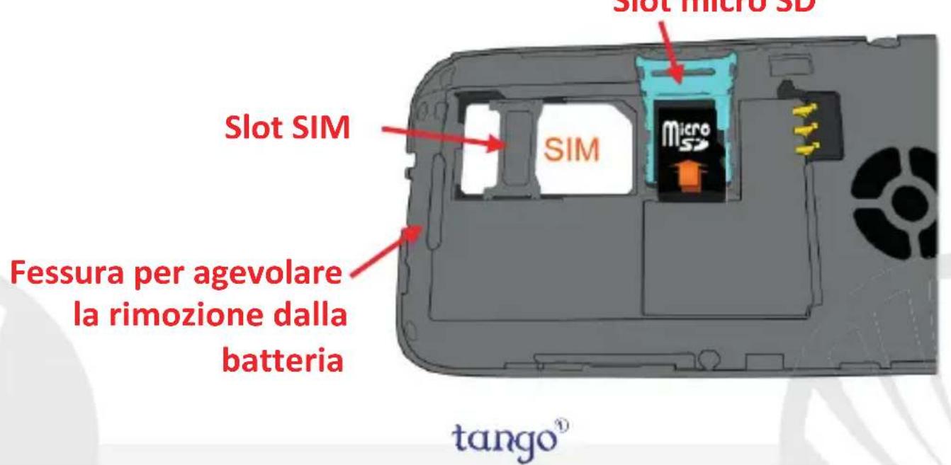NGM Tango 1 - 1