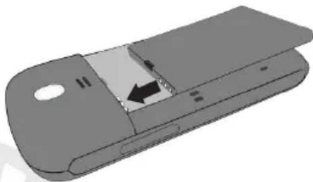NGM Pico - 6ITALIANO - 2