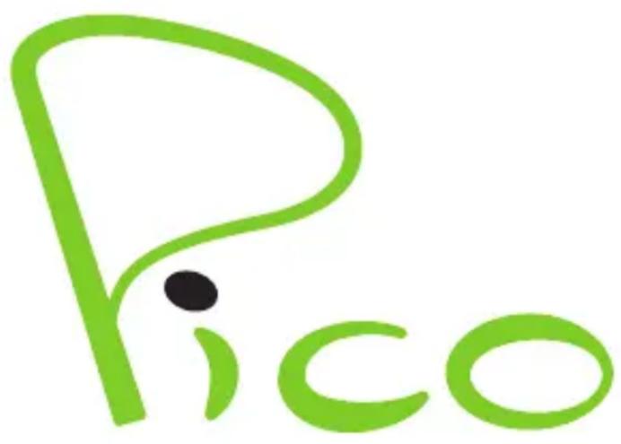 NGM Pico - ENGLISH - 1