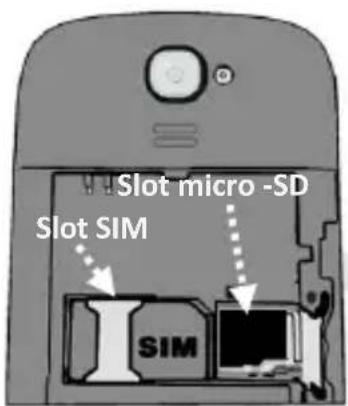 NGM Pico - 6ITALIANO - 1
