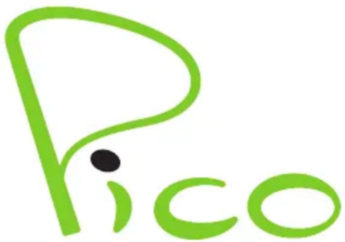 NGM Pico - 1