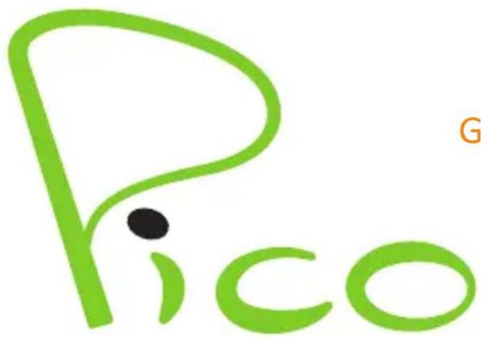 NGM Pico - * Haftungsbeschränkung: - 1