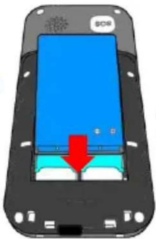 NGM Loris - 2