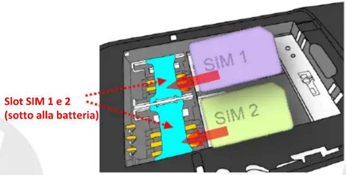NGM Loris - 1