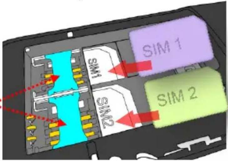 NGM Loris - 1