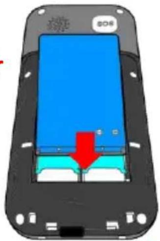 NGM Loris - 2