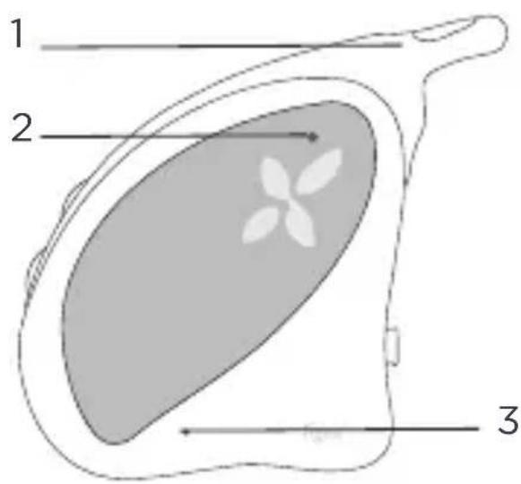 TIGEX Harmony Classic - CONTENUTI DELLA CONFEZIONE - 1