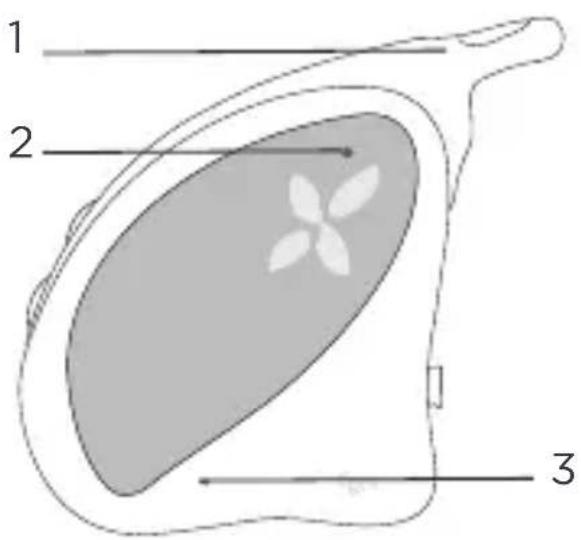 TIGEX Harmony Classic - INHOUD VAN DOOS - 1