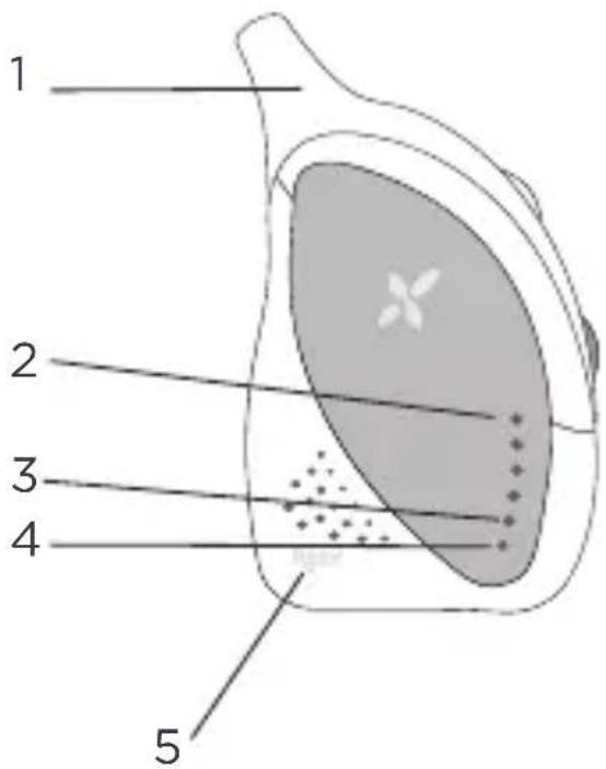 TIGEX Harmony Classic - VOORAANZICT ACHTERAANZICT - 1