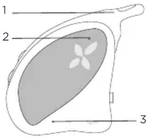 TIGEX Harmony Classic - CONTENU DE LA BOITE - 1