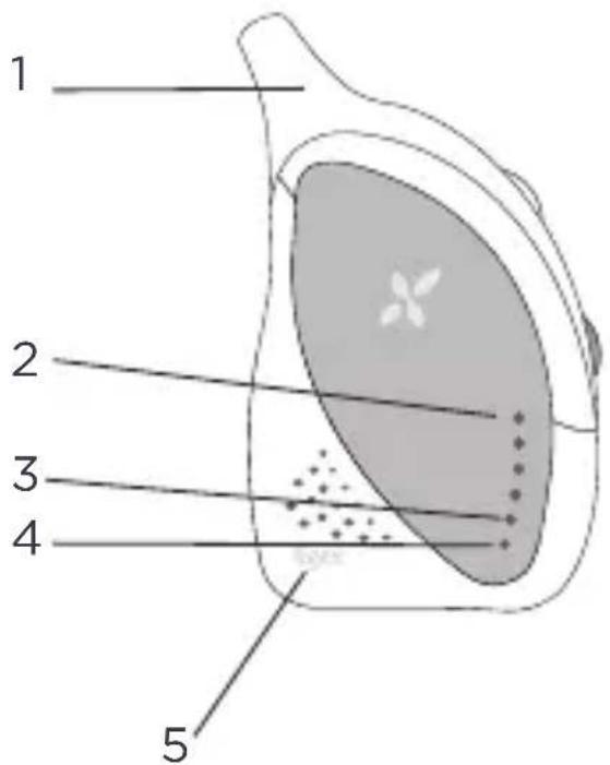 TIGEX Harmony Classic - DESCRIZIONE UNITÀ BAMBINO - 1