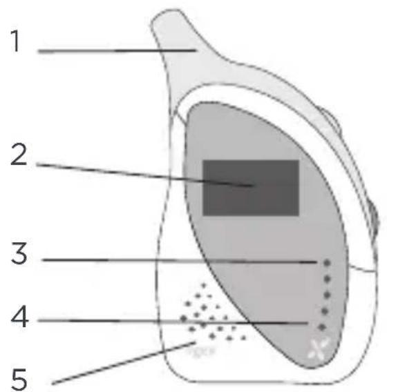 TIGEX Harmony Advanced - DESCRIPTION DE L'UNITÉ BÉBÉ - 1