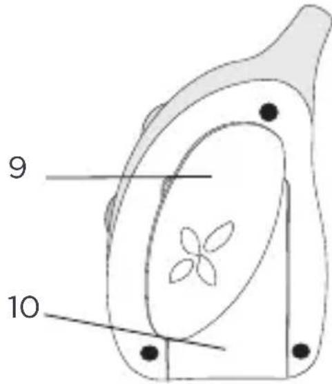 TIGEX Harmony Advanced - DESCRÊÇÃO DA UNIDADE DO BEBÉ - 2