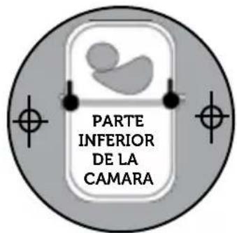 Levana Lila - Montaje seguro de la-camera en una mesa: - 1