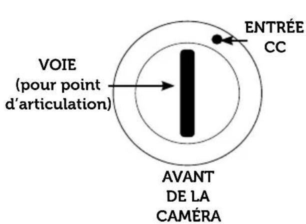 Levana Lila - Régler l'angle de laamera - 1