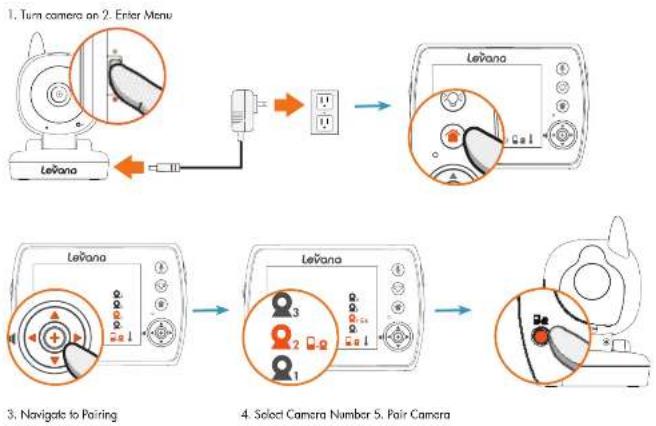 Levana Ayden - SETUP - 1