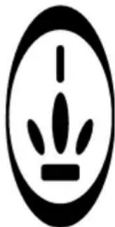 PRINCESS Classic Egg Cooker & Mini Steamer 262008 - GEBRUIK VAN DE STOOMFUNCTIE - 1