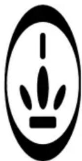 PRINCESS Classic Egg Cooker & Mini Steamer 262008 - CONSEJOS PRINCESS - 1