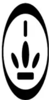 PRINCESS Classic Egg Cooker & Mini Steamer 262008 - TIPS FRA PRINCESS - 1