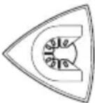 WORX WX677 - APLICATIE - 4