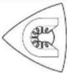 WORX WX677 - APLICATIE - 6