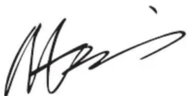 WORX WX677 - TIPS VOOR HET WERKEN MET UW APPARAAT - 1