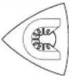 WORX WX678 - VAROVANIE: Pílové zuby sú vel'mi ostré. Nedotýkajte sa pri zakladaní a používaní. Pílové zuby sú vel'mi ostré. Nedotýkajte sa pri zakladaní a používaní. - 5