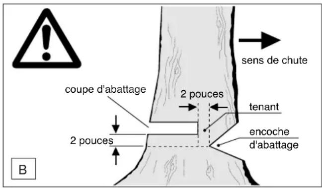 DOLMAR ES173 A - Ebranchage - 2