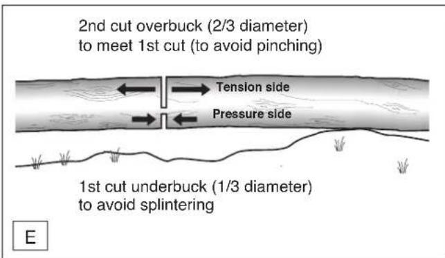 DOLMAR ES173 A - Bucking a log - 1