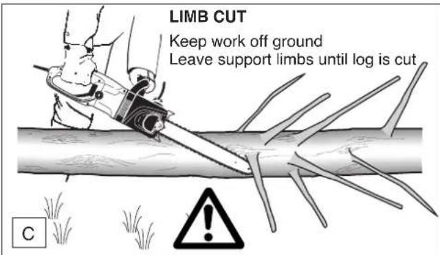 DOLMAR ES173 A - Limbing a tree - 3