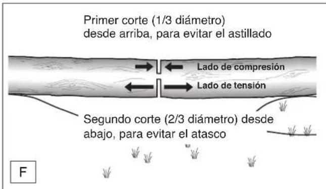 DOLMAR ES173 A - Fragmentado de un rollizo. - 2