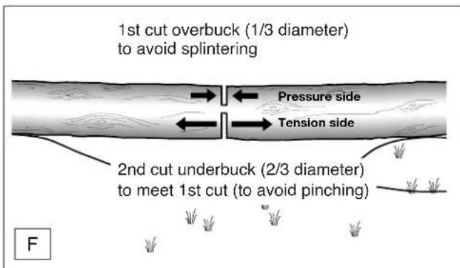 DOLMAR ES173 A - Bucking a log - 2