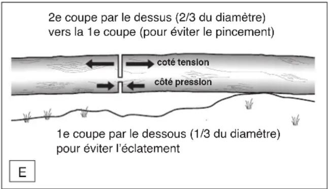 DOLMAR ES173 A - Transport de l'outil - 1