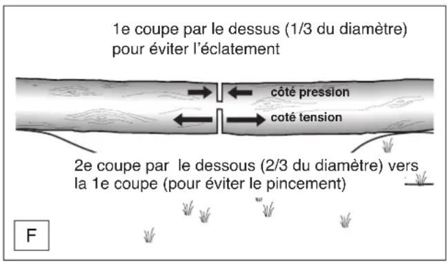 DOLMAR ES173 A - Transport de l'outil - 2
