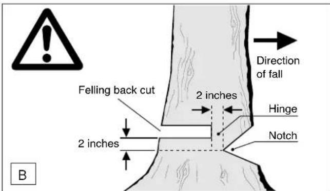 DOLMAR ES173 A - Limbing a tree - 2