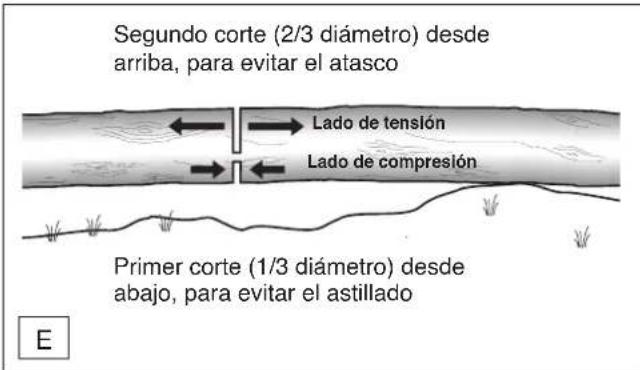 DOLMAR ES173 A - Fragmentado de un rollizo. - 1