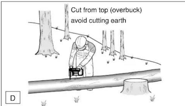 DOLMAR ES173 A - Limbing a tree - 4
